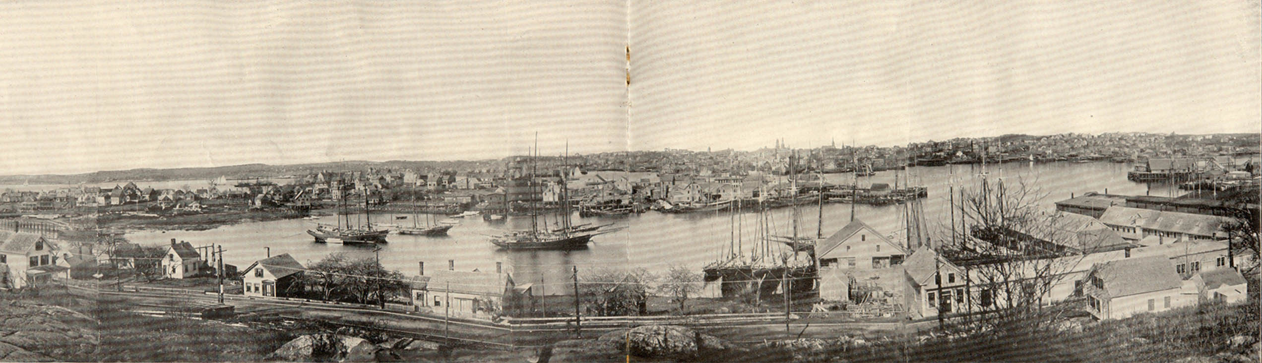 Gloucester Harbor 1905