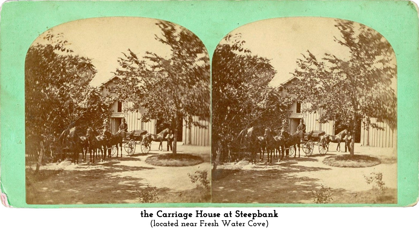 Carriage House at Steepbank