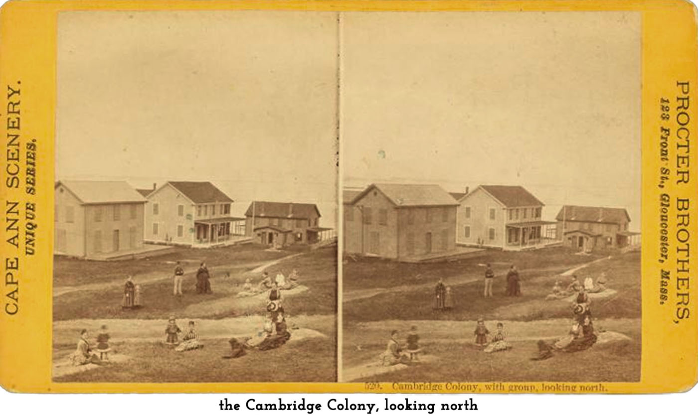 Cambridge Colony
