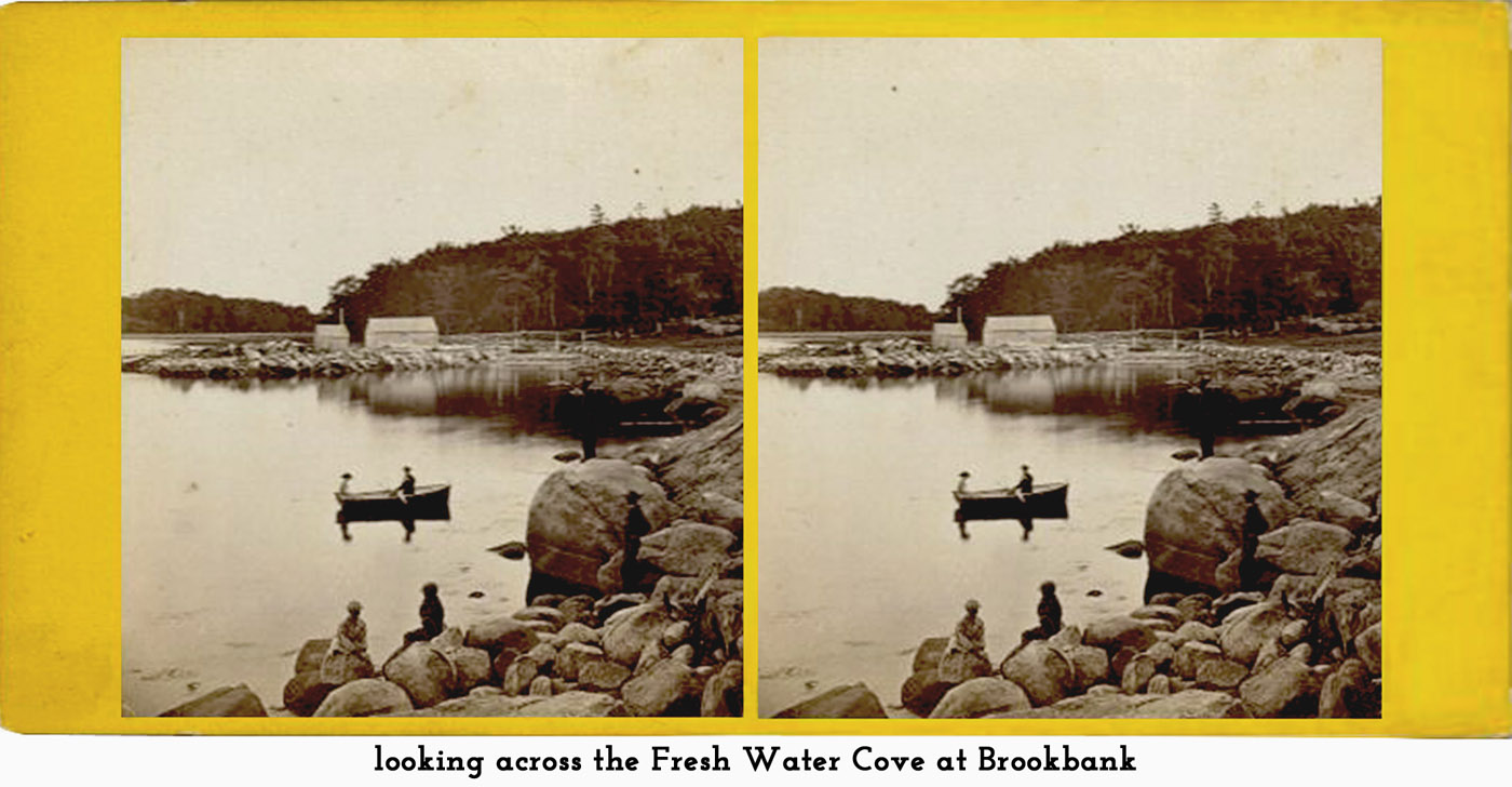 Fresh Water Cove at Brookbank