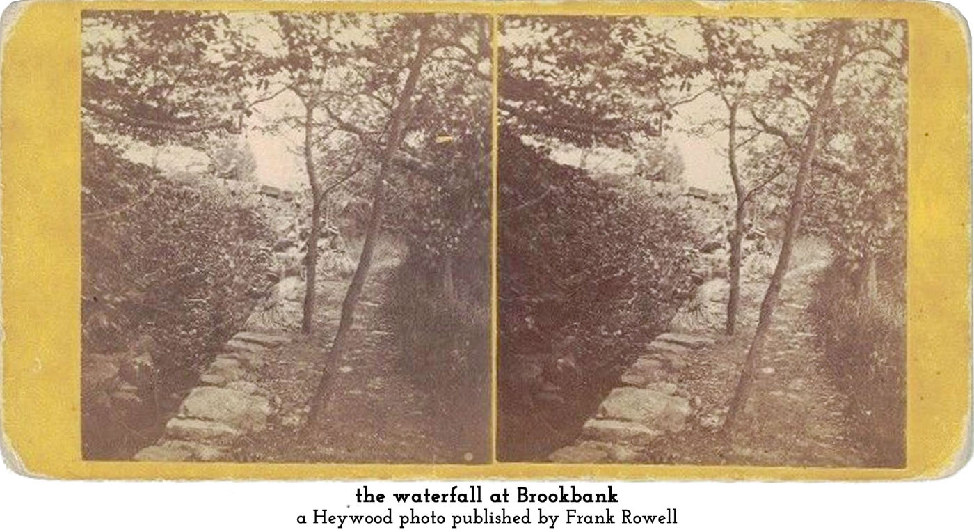waterfall at Brookbank