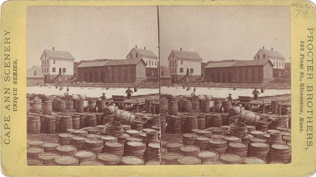 a Procter Brothers stereoview of Shute & Merchant