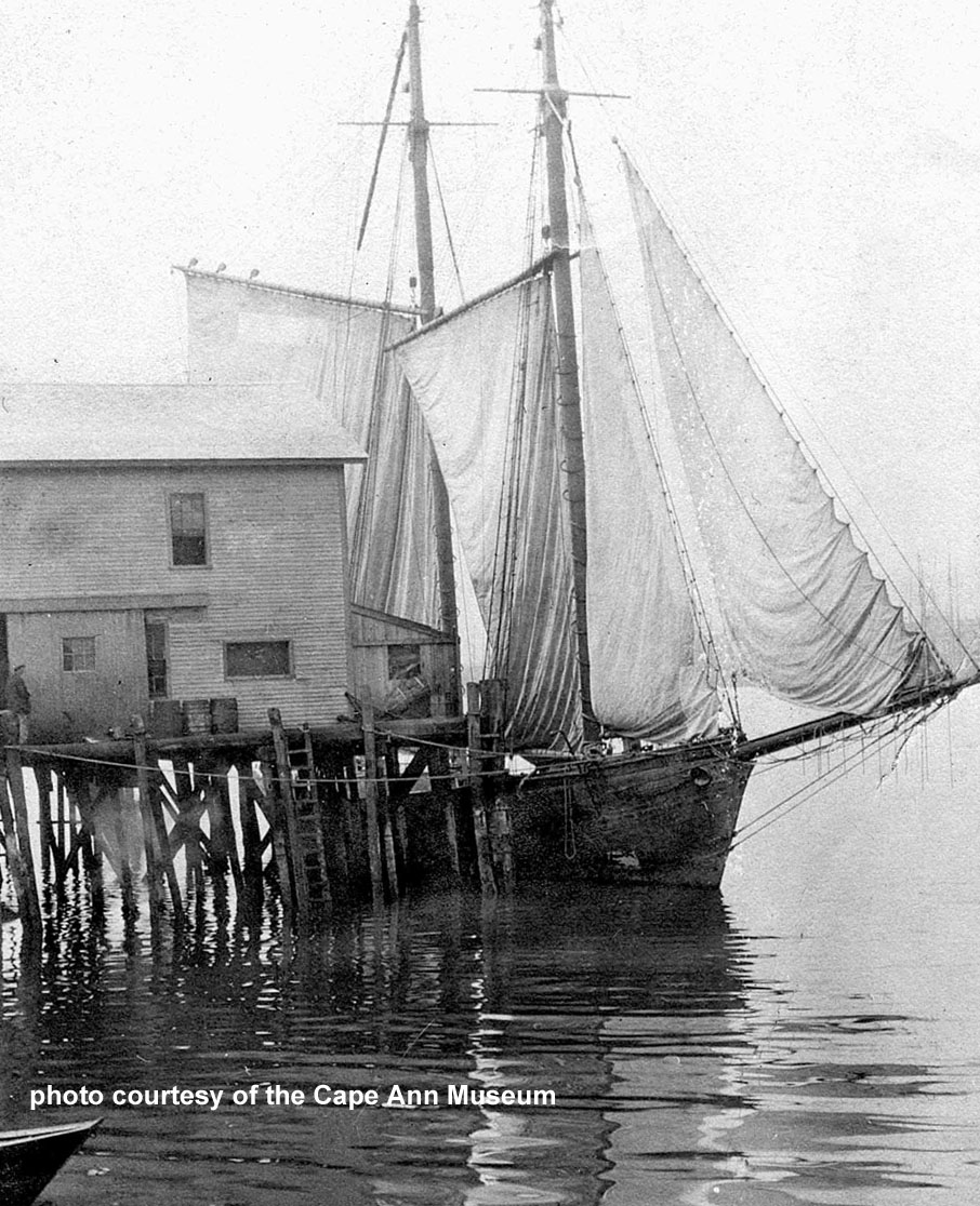 drying sails at Shute & Merchant wharf