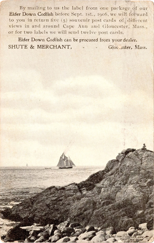 1906 Shute & Merchant postcard of Mother Ann at Eastern Point