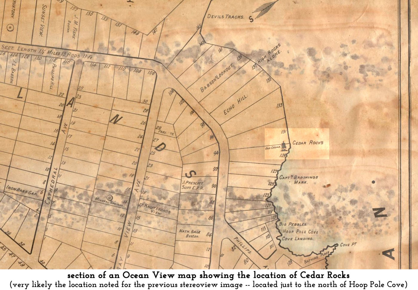 an 1880s map showing the location of the Old Cedar at the far end of Pigeon Cove